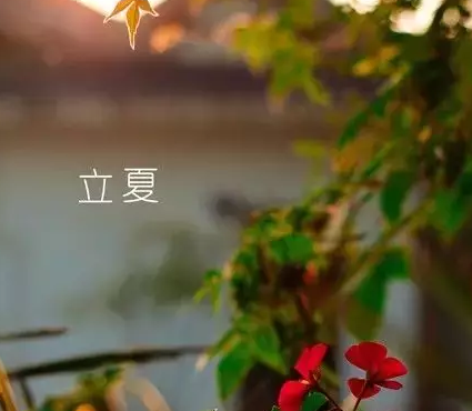 關于立夏的古詩有哪些 立夏詩句大全