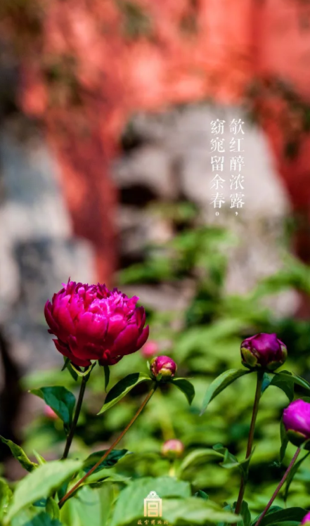 立夏節氣海報大全2019 立夏創意海報文案推薦