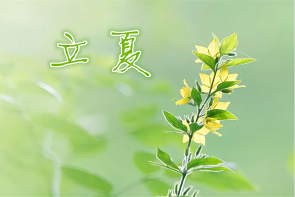 今日立夏說說配圖句子2019 立夏節氣的說說