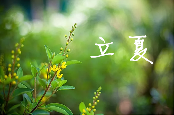 立夏節氣祝福語2019 立夏節氣問候語祝福