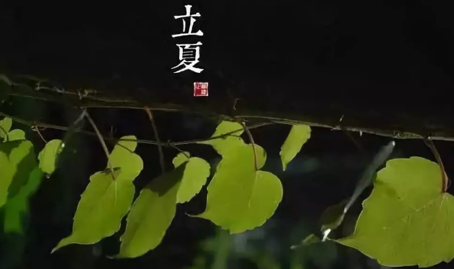 立夏為什么要吃雞蛋 立夏這天有什么習俗