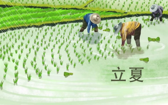 立夏吃烏米飯是什么習(xí)俗 立夏當(dāng)天有哪些不同的習(xí)俗