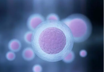 受孕成功需要什么條件 如何能受孕成功 受孕成功需要什么條件 如何能受孕成功