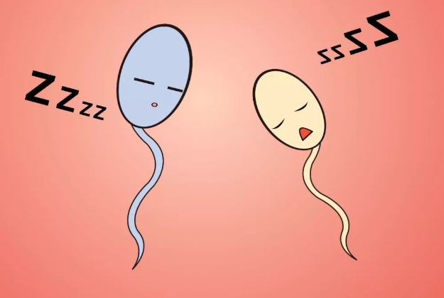 備孕期間壓力過大怎么辦 備孕壓力大如何調(diào)解 備孕期間壓力過大怎么辦 備孕壓力大如何調(diào)解