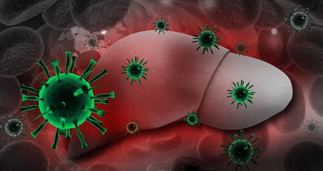 乙肝患者為什么要定期做B超 從乙肝發(fā)展從肝癌要多久時(shí)間