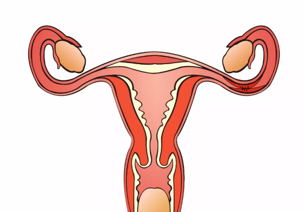 輸卵管造影貴不貴 輸卵管造影醫(yī)院重要還是費(fèi)用重要