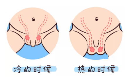 寶寶蛋蛋癟了怎么回事 蛋蛋縮起來正常嗎 寶寶蛋蛋癟了怎么回事 蛋蛋縮起來正常嗎