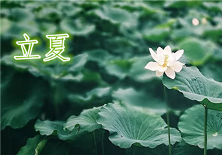 今日立夏說說配圖句子2019 立夏節氣的說說