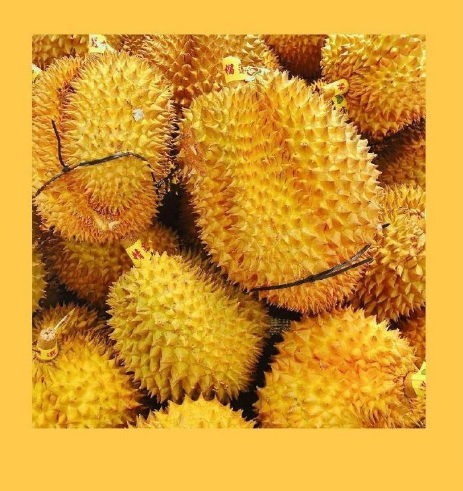 2019立夏問候語 今日立夏發什么問候語比較好 2019立夏問候語 今日立夏發什么問候語比較好