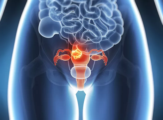 卵巢早衰和卵泡質(zhì)量有什么關(guān)系 如何預(yù)防卵泡發(fā)育不成熟