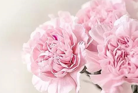 母親節祝福母親祝福語帶圖 母親節朋友圈說說怎么發