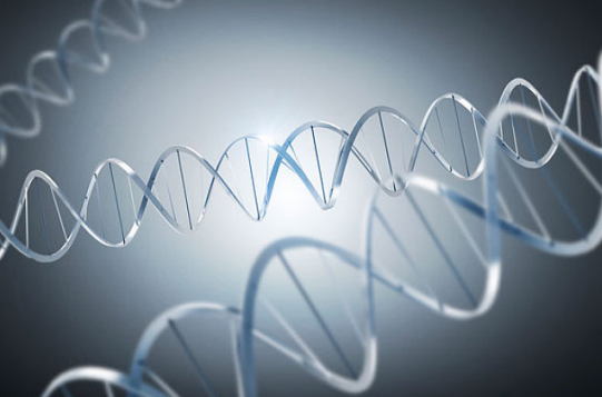 孕期無創DNA檢測多少錢 無創DNA檢測值得做嗎 孕期無創DNA檢測多少錢 無創DNA檢測值得做嗎