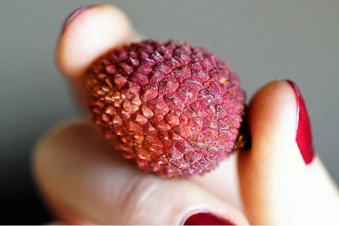 孕婦可以吃荔枝嗎 孕婦吃荔枝的好處