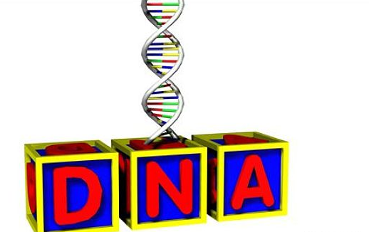 孕期無創dna幾周做最好 無創dna檢測什么時候做 孕期無創dna幾周做最好 無創dna檢測什么時候做