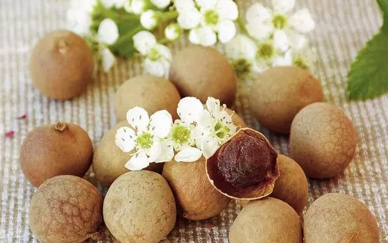 哺乳期能吃龍眼干嗎 哺乳期吃桂圓有營養嗎