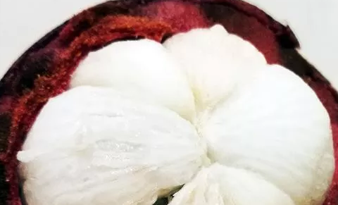 哺乳期能吃山竹嗎 哺乳期吃山竹能吃幾個