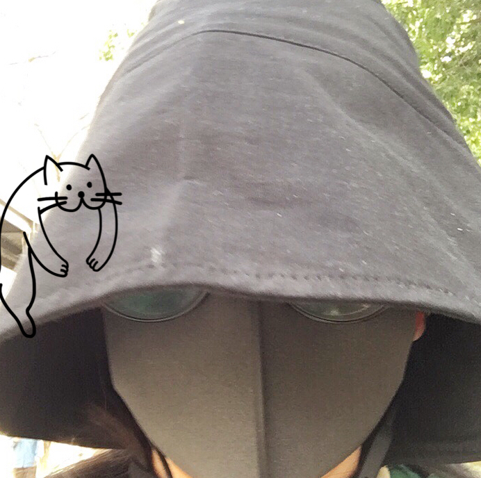 又到了楊絮滿天飛的時候心情 飛絮滿天的說說朋友圈 又到了楊絮滿天飛的時候心情 飛絮滿天的說說朋友圈