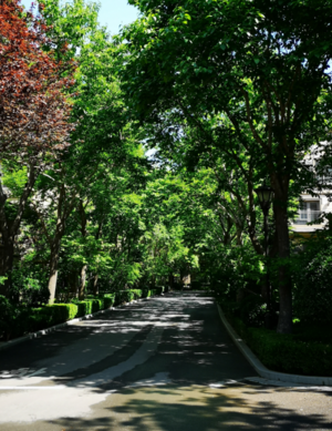 形容初夏的文藝一點的句子 描寫初夏景色的句子 形容初夏的文藝一點的句子 描寫初夏景色的句子