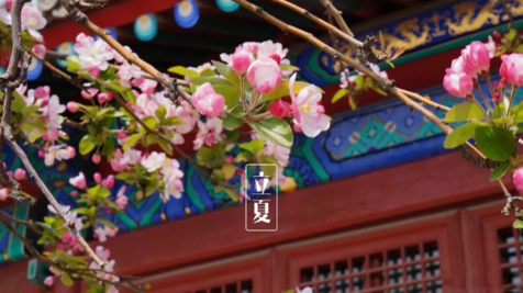 形容初夏的文藝一點的句子 描寫初夏景色的句子 形容初夏的文藝一點的句子 描寫初夏景色的句子