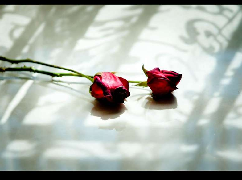 形容初夏的文藝一點的句子 描寫初夏景色的句子 形容初夏的文藝一點的句子 描寫初夏景色的句子