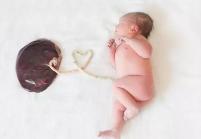 胎盤真的有營養嗎 吃胎盤真的可以懷孕嗎 胎盤真的有營養嗎 吃胎盤真的可以懷孕嗎