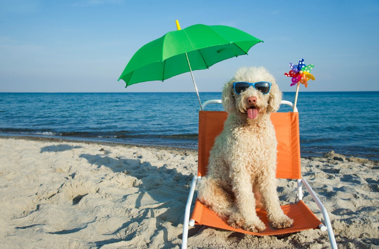 孩子曬傷了怎么護理 為什么孩子會被曬傷