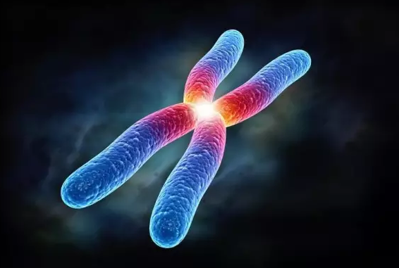 習(xí)慣性流產(chǎn)和男人有關(guān)系嗎 習(xí)慣性流產(chǎn)和男性的關(guān)系