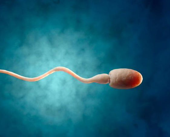 性生活一天一次頻繁嗎 一周幾次性生活比較健康 性生活一天一次頻繁嗎 一周幾次性生活比較健康