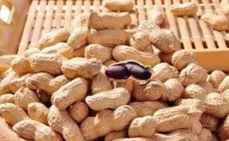 哺乳期吃花生下奶嗎 哺乳期催乳湯怎么選擇