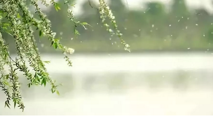 楊柳絮季節如何避免對寶寶的傷害 寶寶柳絮過敏怎么辦