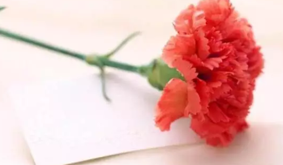 社區母親節親子活動邀請函 2019社區母親節活動邀請函