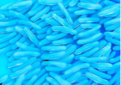 寶寶吃益生菌有什么好處 哪種益生菌比較好