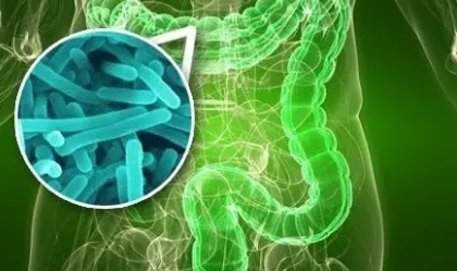 寶寶吃益生菌有什么好處 哪種益生菌比較好