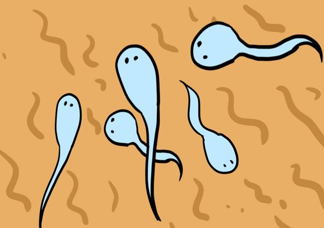 得了陰道炎會影響懷孕嗎 陰道炎懷孕了要注意什么