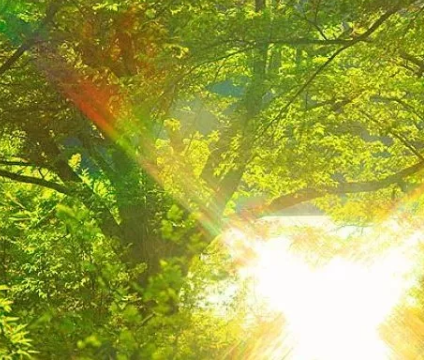 孕婦如何安全防曬 孕婦如何做好防曬工作