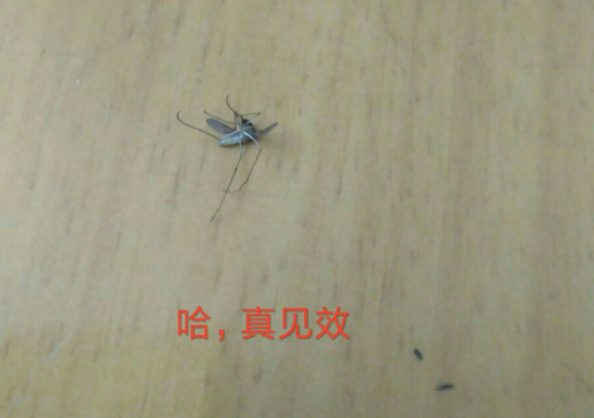 淳一嬰兒蚊香液怎么樣 淳一嬰兒蚊香液使用測評