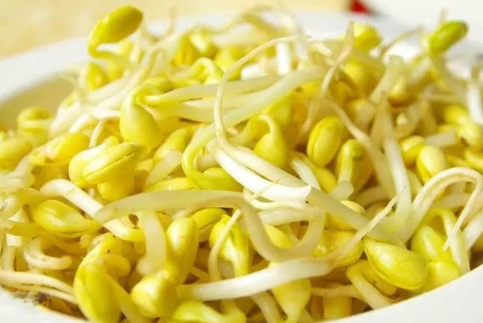 哺乳期吃黃豆芽還是綠豆芽 哺乳期吃黃豆芽好不好 哺乳期吃黃豆芽還是綠豆芽 哺乳期吃黃豆芽好不好