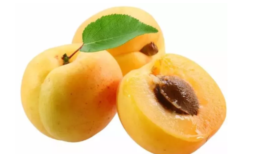 哺乳期吃杏子對寶寶有影響嗎 哺乳期能吃杏子嗎