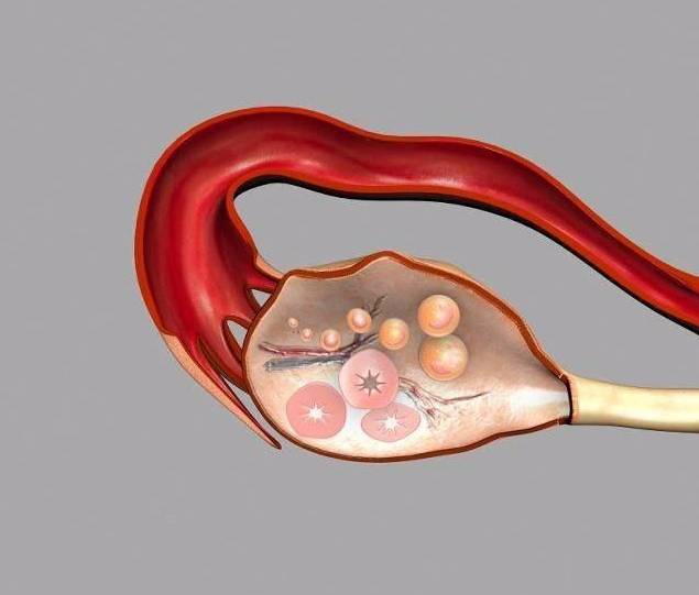 試管嬰兒可以不打促排針嗎 試管嬰兒一次不成功什么時候能做第二次 試管嬰兒可以不打促排針嗎 試管嬰兒一次不成功什么時候能做第二次