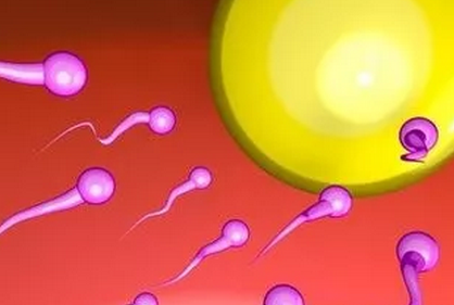 無精子癥是什么 無精子癥還能生孩子嗎 無精子癥是什么 無精子癥還能生孩子嗎