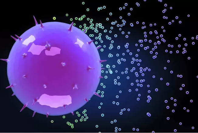 促排卵卵泡是空的是怎么回事 空卵泡和正常卵泡有什么區別 促排卵卵泡是空的是怎么回事 空卵泡和正常卵泡有什么區別