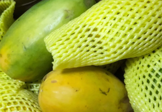 哺乳期青木瓜怎么吃下奶 哺乳期吃青木瓜好處 哺乳期青木瓜怎么吃下奶 哺乳期吃青木瓜好處