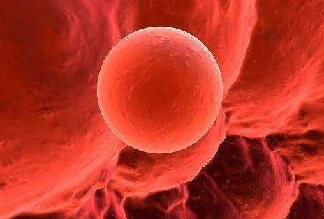 排卵期內(nèi)精子進(jìn)入體內(nèi)會有什么感覺 精子進(jìn)入體內(nèi)能感覺的到嗎