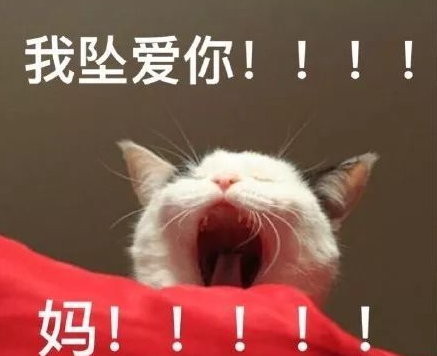 母親節表情包無水印 媽媽您辛苦啦表情包