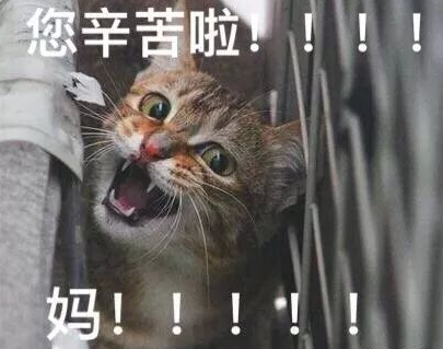 母親節表情包無水印 媽媽您辛苦啦表情包