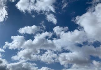 被蚊子咬醒的搞笑圖片說說 蚊子咬了怎么幽默表達