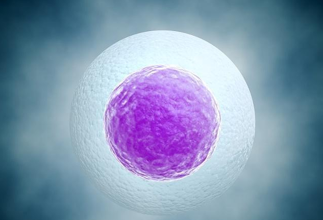 通過孕囊可以推測懷孕時間嗎 孕囊計算預產期準嗎 通過孕囊可以推測懷孕時間嗎 孕囊計算預產期準嗎
