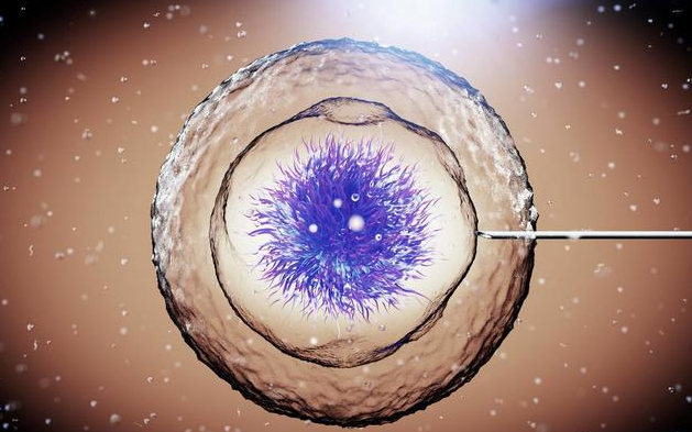 試管嬰兒取卵之后有腹水怎么回事 試管嬰兒取卵后有腹水怎么辦 試管嬰兒取卵之后有腹水怎么回事 試管嬰兒取卵后有腹水怎么辦