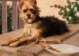 注射狂犬疫苗后第二天死亡是什么情況 為什么注射了狂犬疫苗還會死亡