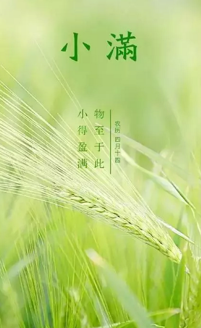 2019小滿節氣海報文案匯總 小滿品牌借勢節氣海報